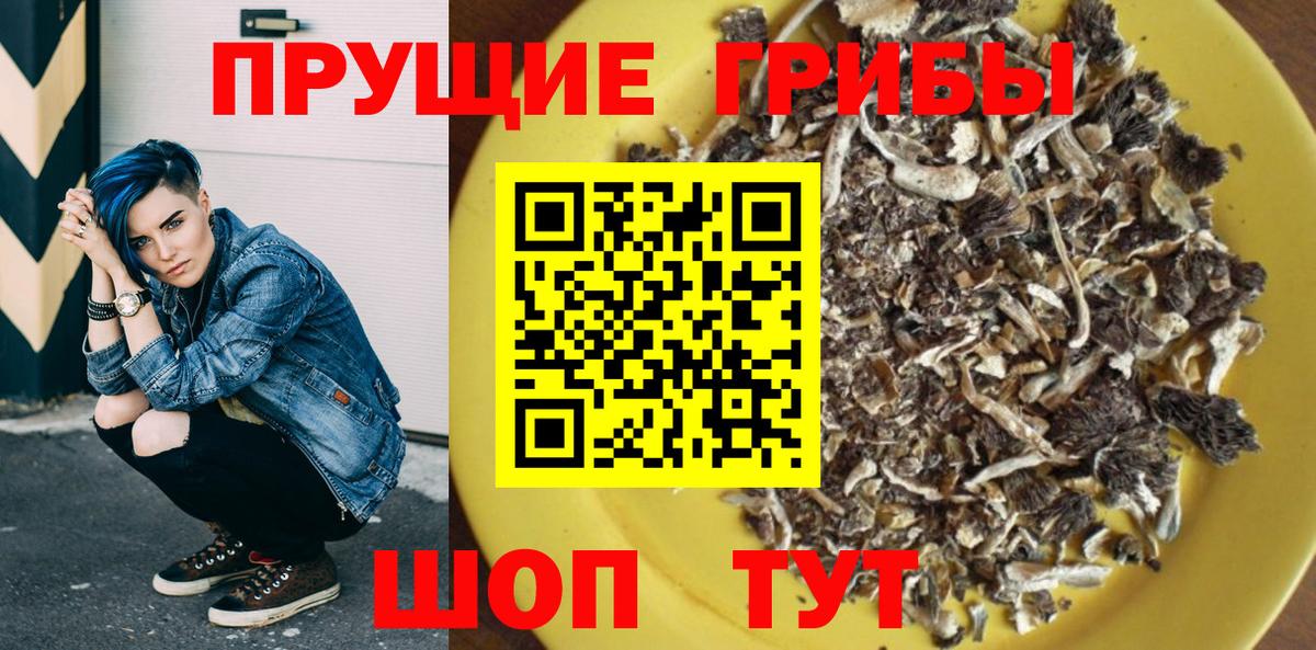 Грозный  Галлюциногенные грибы мухоморы  Псилоцибиновые грибы прущие грибы  Вход с VPN 