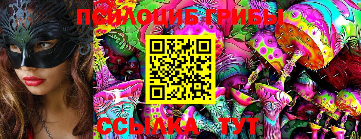 Галлюциногенные грибы прущие грибы Грозный